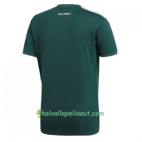 Jalkapallo Pelipaidat Meksiko Kotipaita 2018